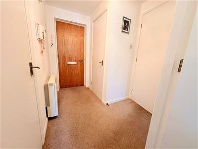Picture 7